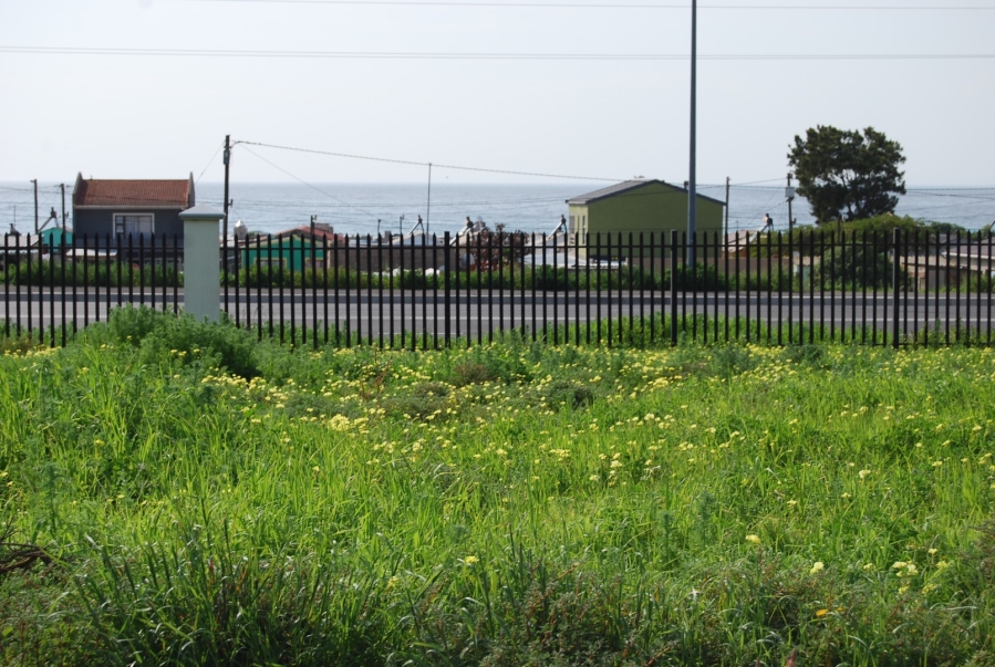 0 Bedroom Property for Sale in St Helena Views Western Cape